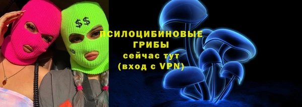 гидра Алзамай