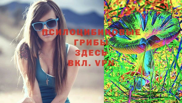 гидра Алзамай