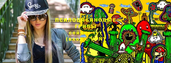 дурь Абдулино