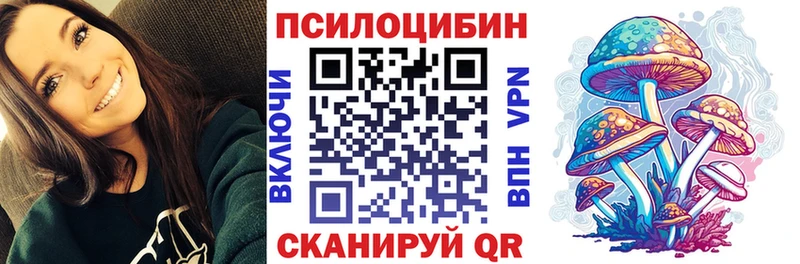Галлюциногенные грибы MAGIC MUSHROOMS  blacksprut tor  Мещовск  цена  